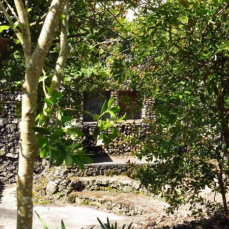 Casa Da Palmeira Holiday home Porto Martins