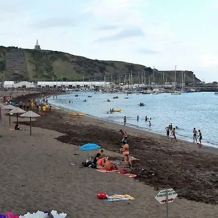 Casa Da Palmeira Holiday home *